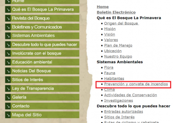 Pagina-bosque-Primavera.png